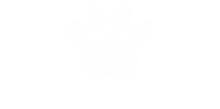 Mundo Perritos
