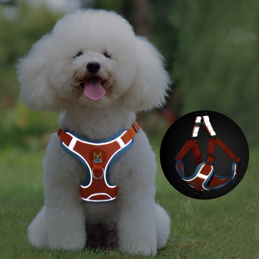 Arnés para Perros Grandes, Pequeños y Medianos - Imagen 7
