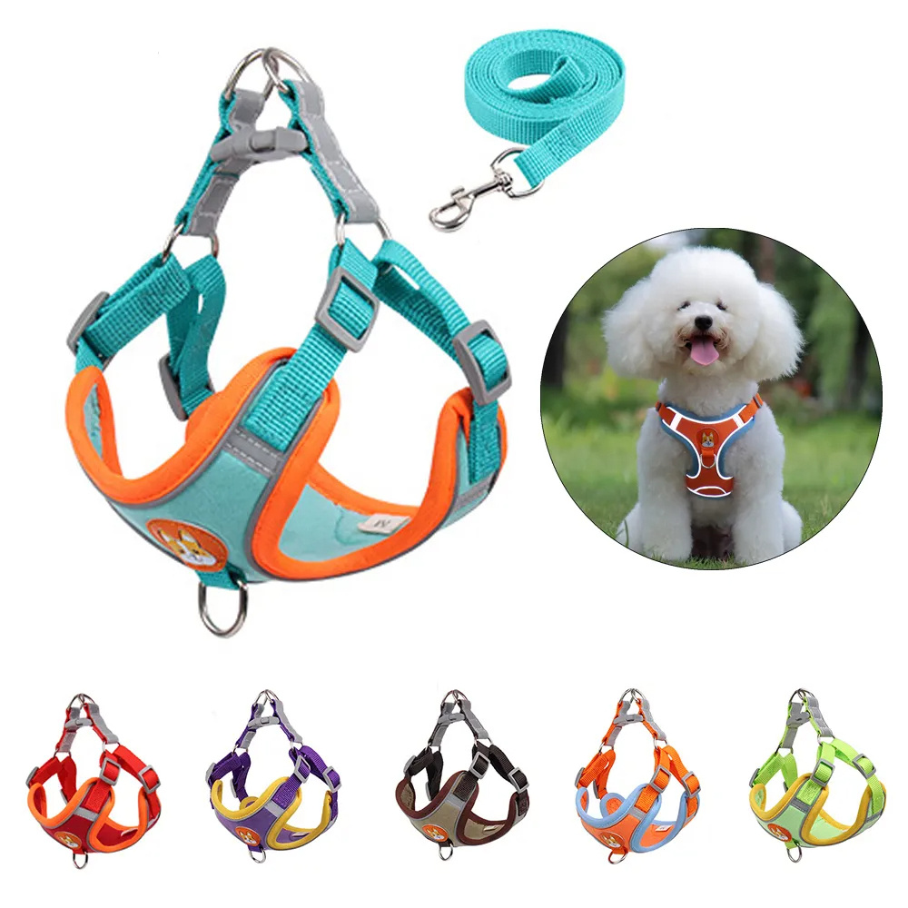 Arnés para Perros Grandes, Pequeños y Medianos - Imagen 10