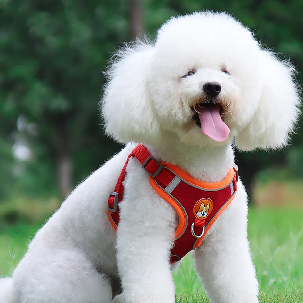 Arnés para Perros Grandes, Pequeños y Medianos - Imagen 3