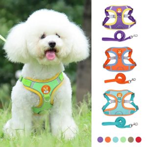 Arnés para Perros Grandes, Pequeños y Medianos