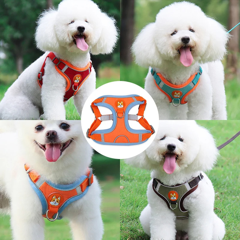 Arnés para Perros Grandes, Pequeños y Medianos - Imagen 4